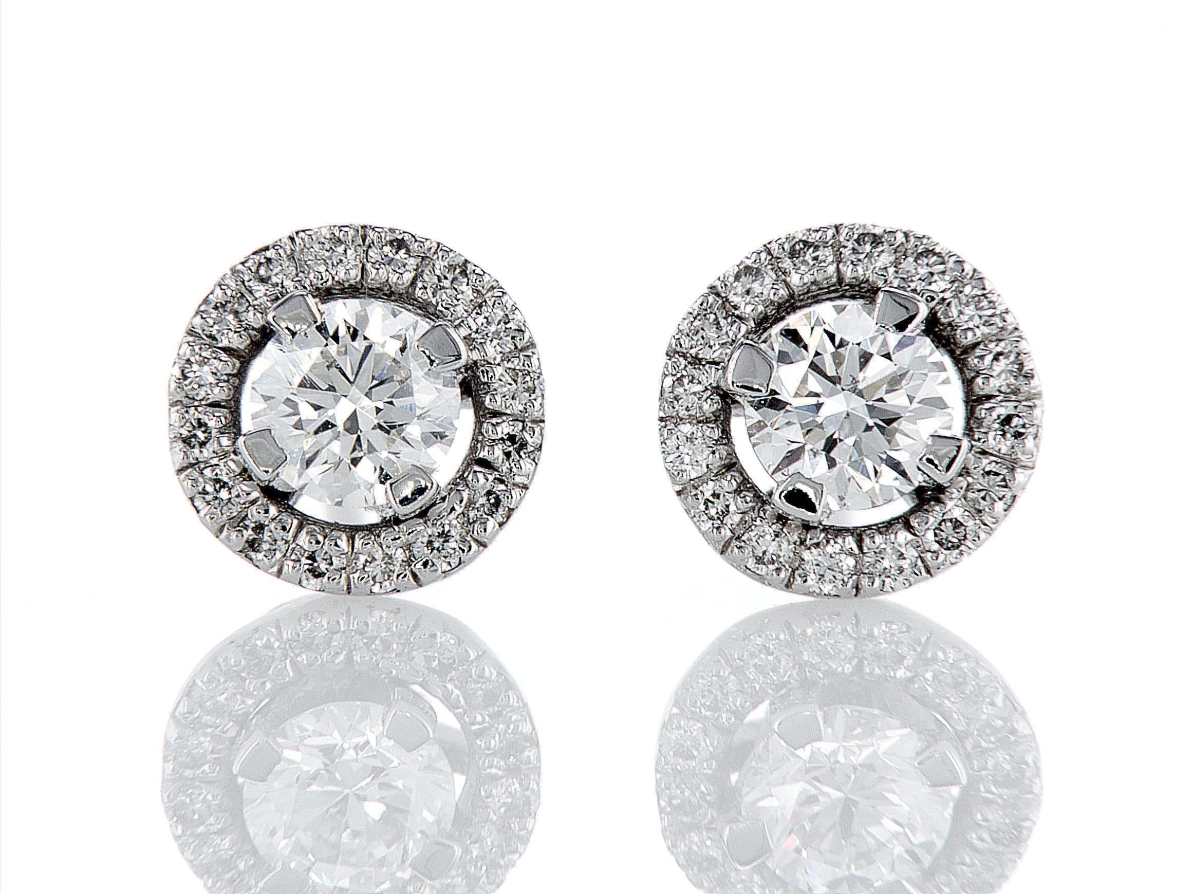 עגילי היילו