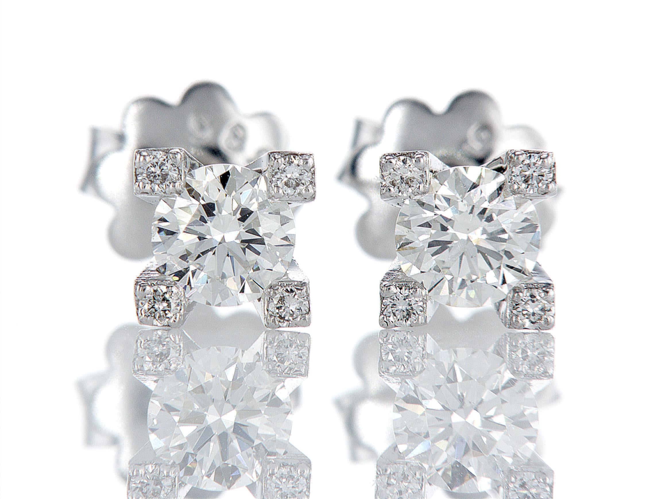 עגילי קלואה