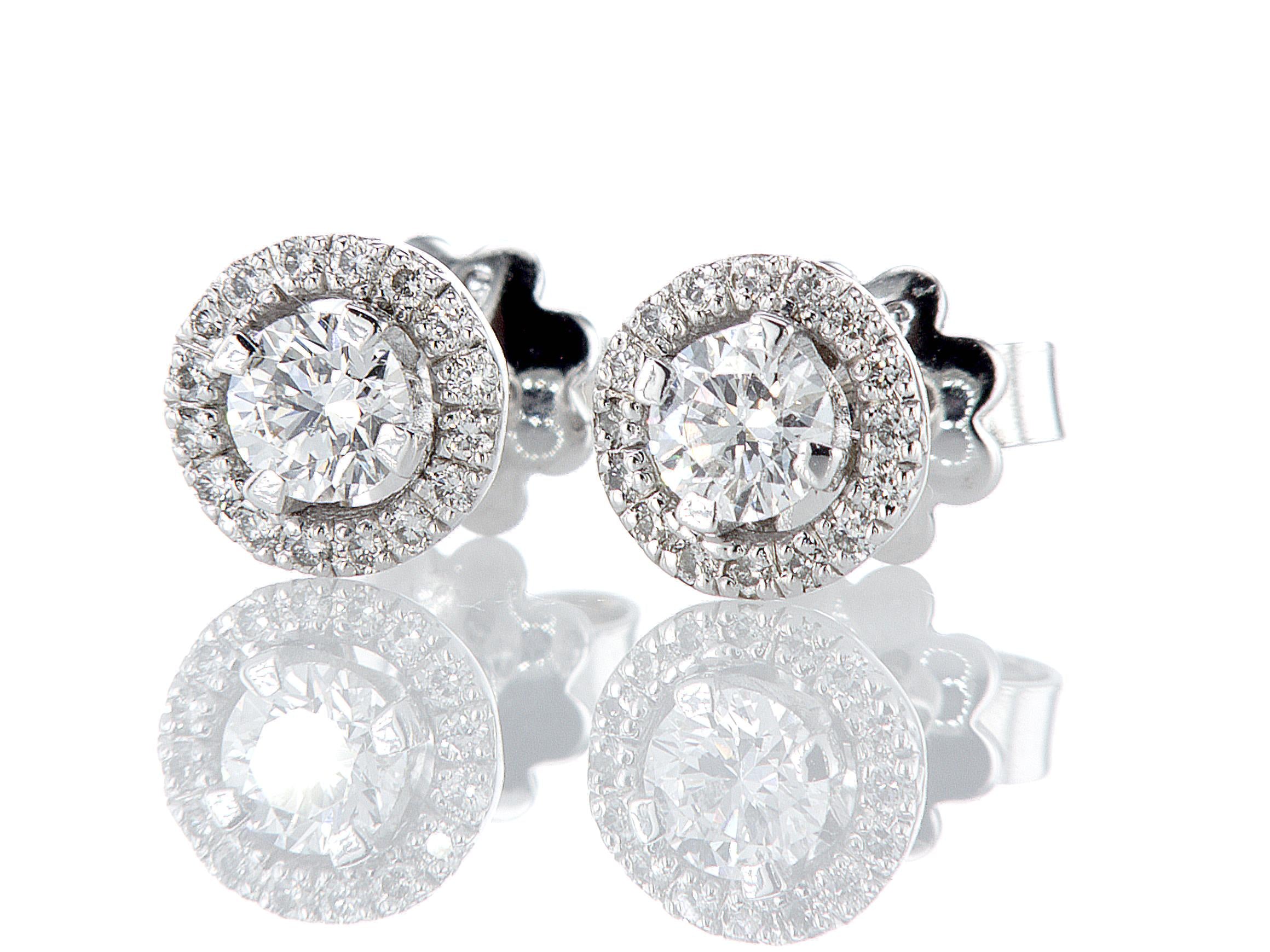 עגילי היילו