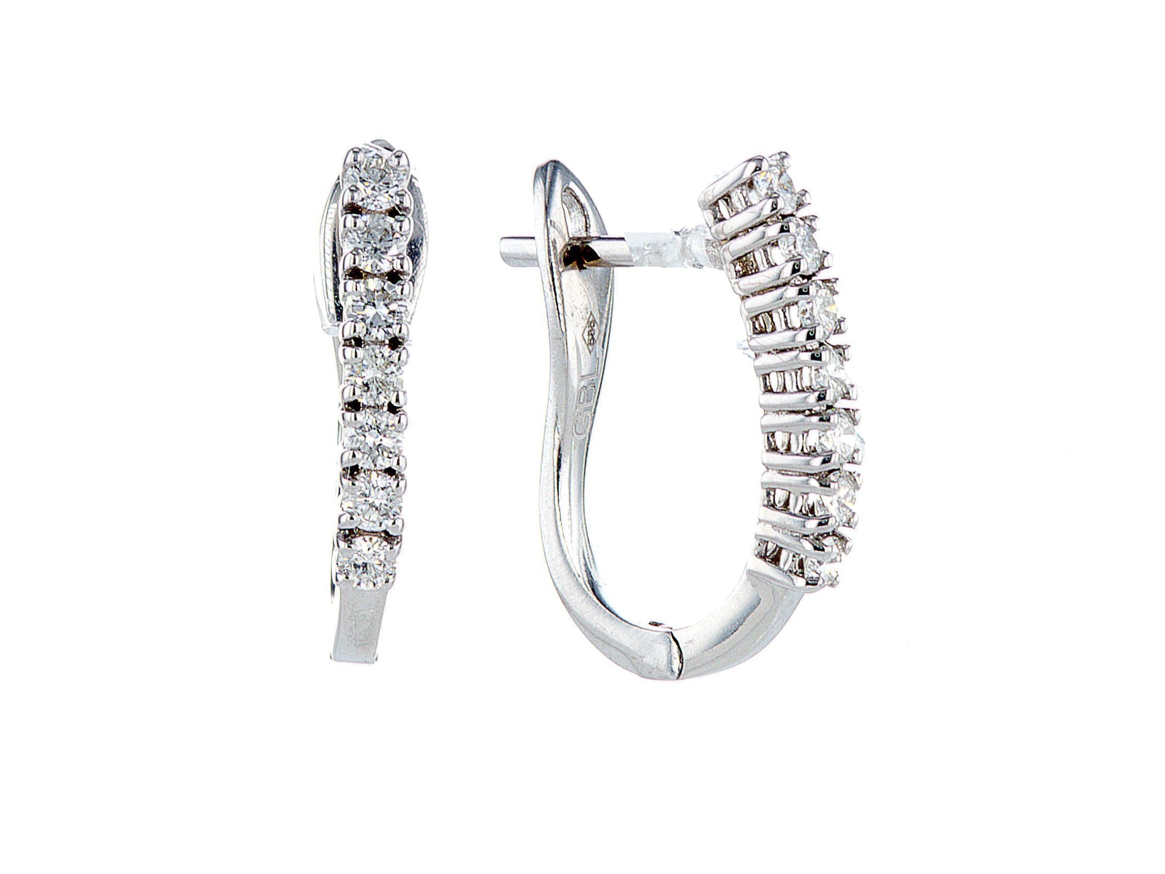 עגילי קרולינה 7